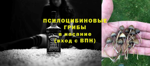 МДПВ Богданович