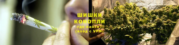 таблы Богородицк
