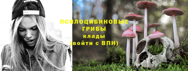 МДПВ Богданович