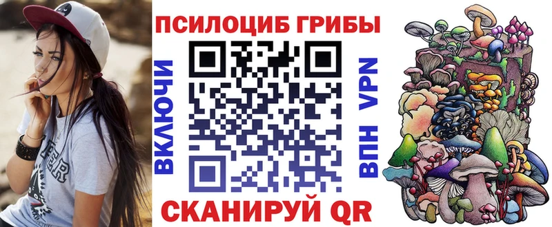 наркошоп  даркнет состав  Псилоцибиновые грибы Psilocybe  Набережные Челны 